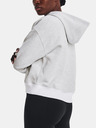 Under Armour Essential Script Hoodie Majica dugih rukava