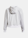 Under Armour Essential Script Hoodie Majica dugih rukava