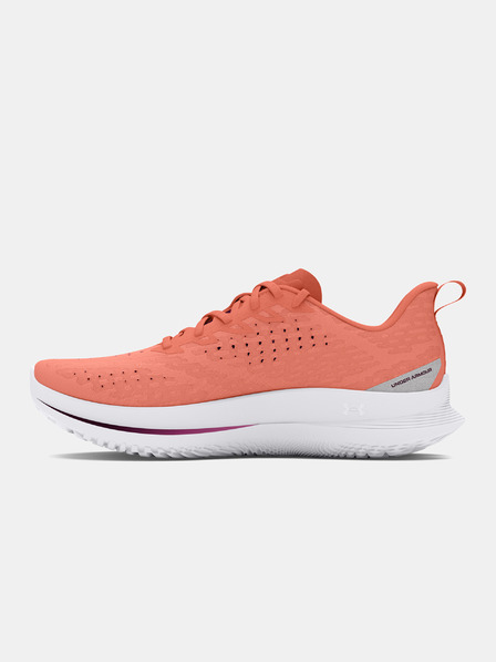 Under Armour UA W Velociti 4 Tenisice