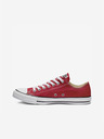 Converse Chuck Taylor All Star Tenisice